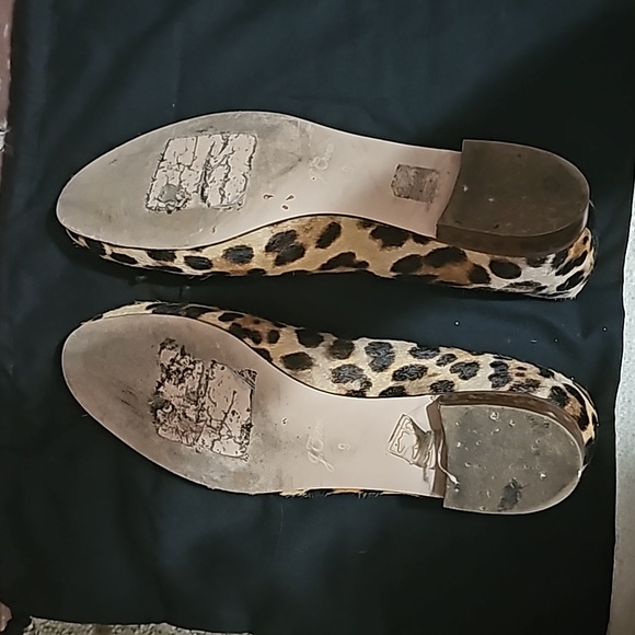 Flats - Picture 4 of 5